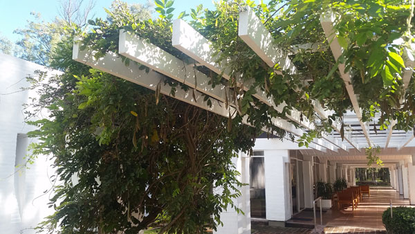 HOSTAL CORDOBA ARGENTINA hostal cordoba argentina: