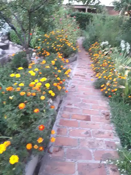 Casa Los Angelitos