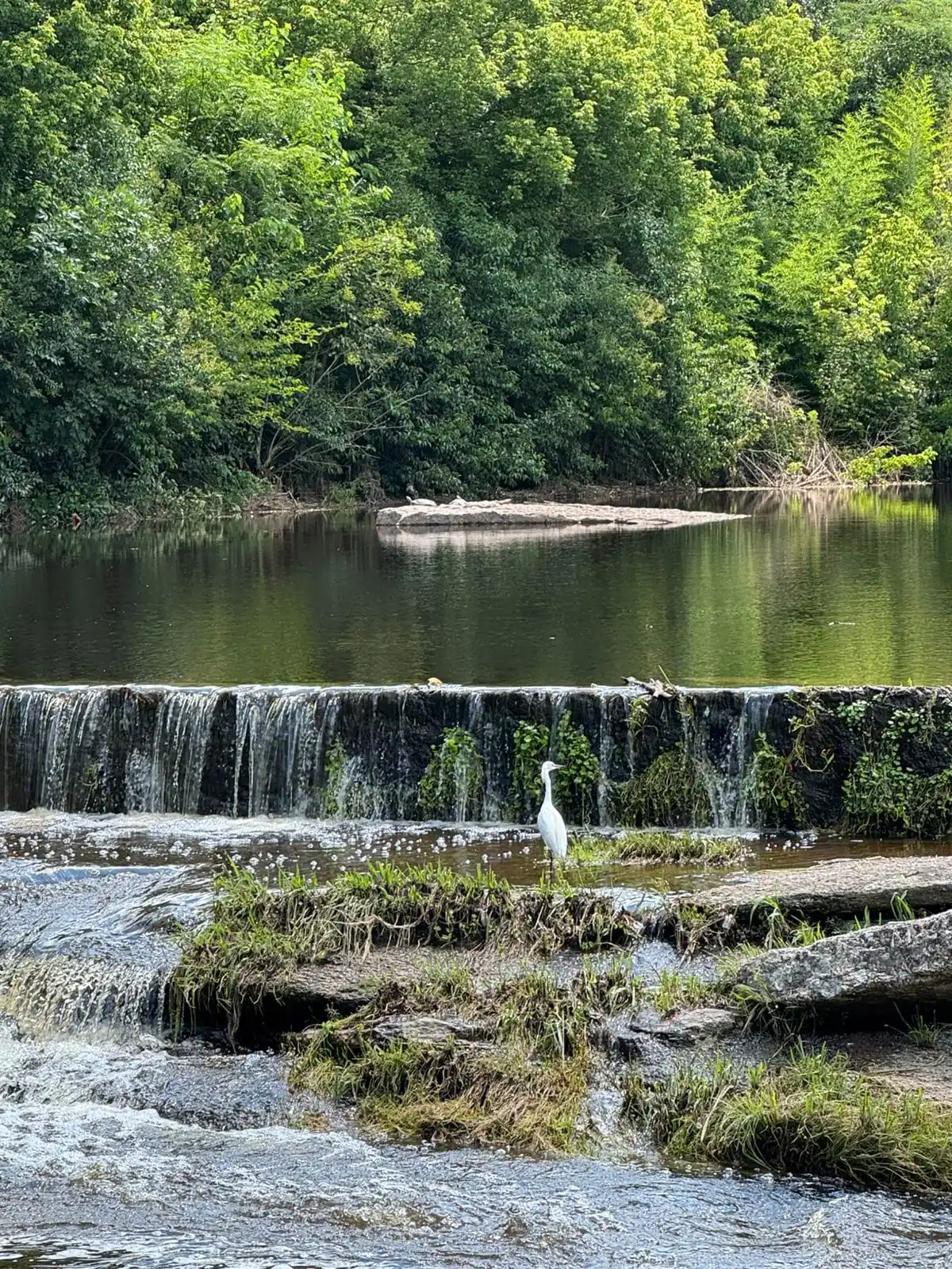 Complejo Costa R�o Caba�as y Camping