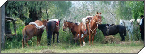 Turismo en Las Chacras