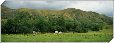 Las Jarillas Punilla