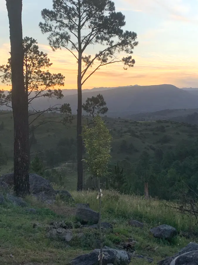 Maktub Caba�as de Monta�a