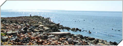 Aguas Curativas en Miramar