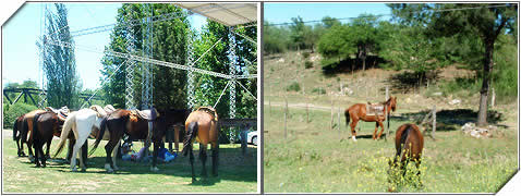 Turismo Rural en Santa Rosa