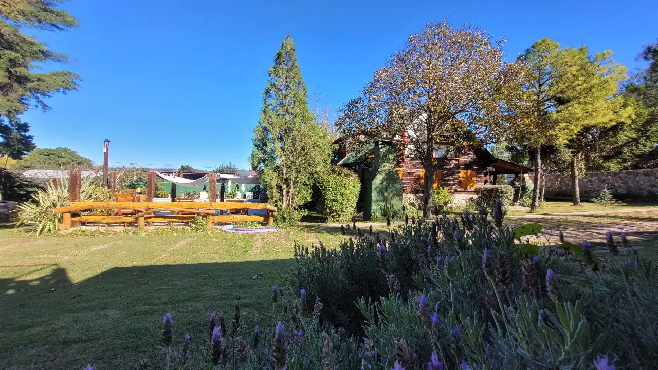 Caba�as Tronco Piedra