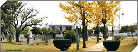 Ucacha Fortines, Lagos y Lagunas