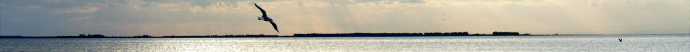 Naturaleza